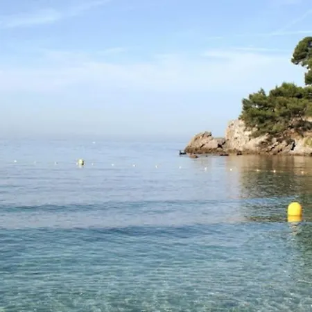 Apartamento Maison De Charme A 200 Bord De Mer, Terrasse, Jardin- Lesclesdenicole Le Pradet